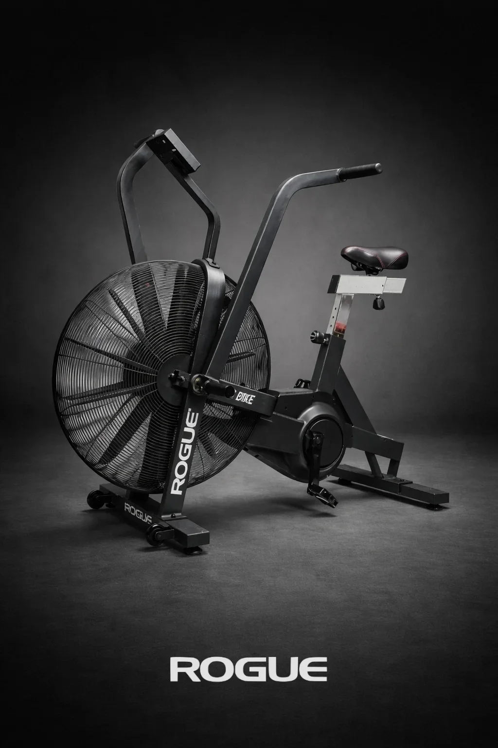Rogue Echo Bike